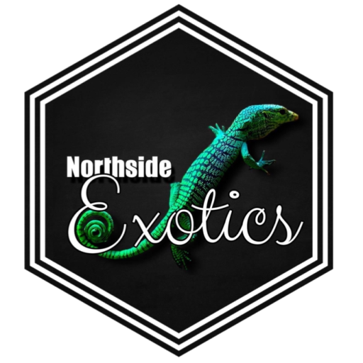 NorthsideExotics